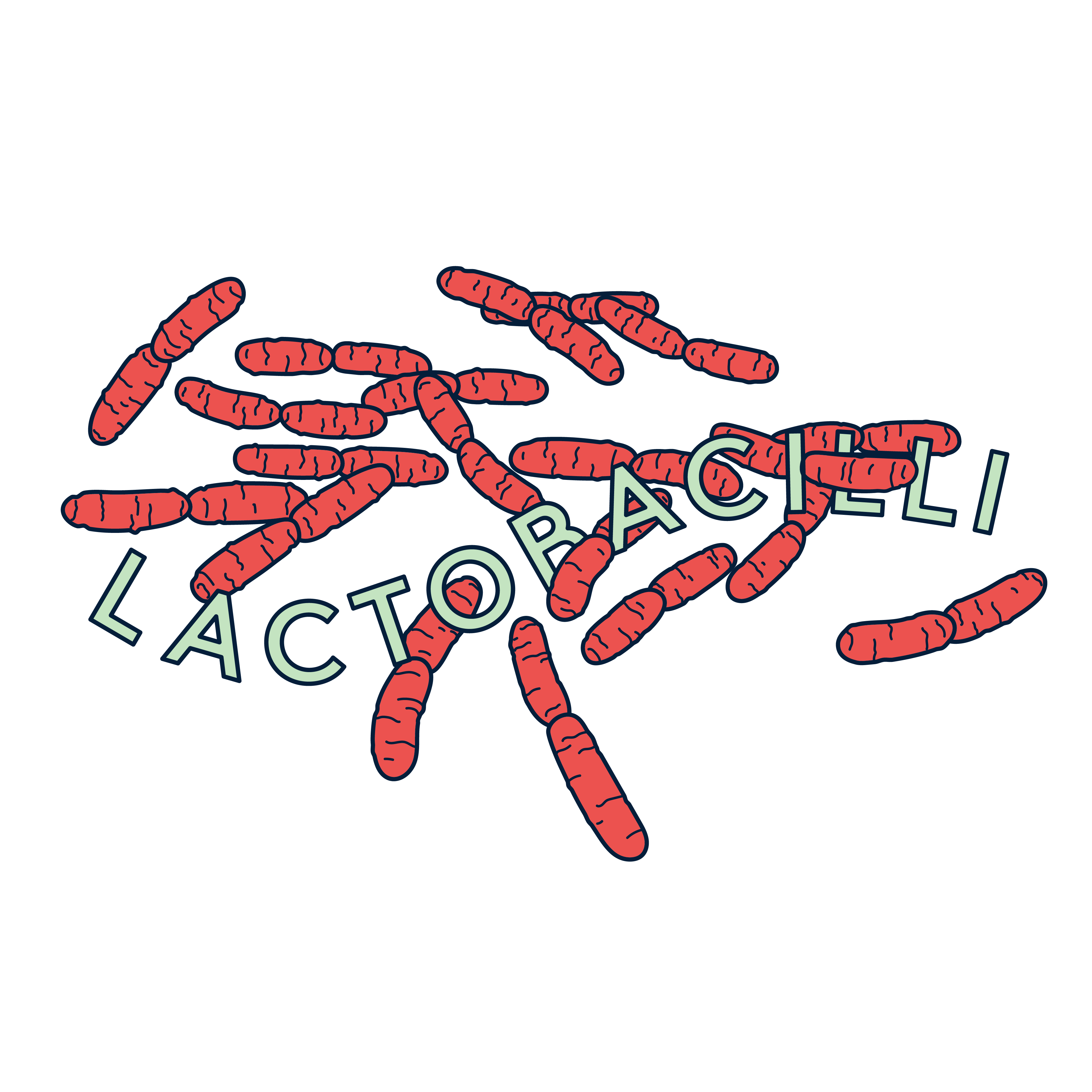 Lactobacilli are the good bacteria in your vaginal microbome, lactobacilli protect you from vaginal infections