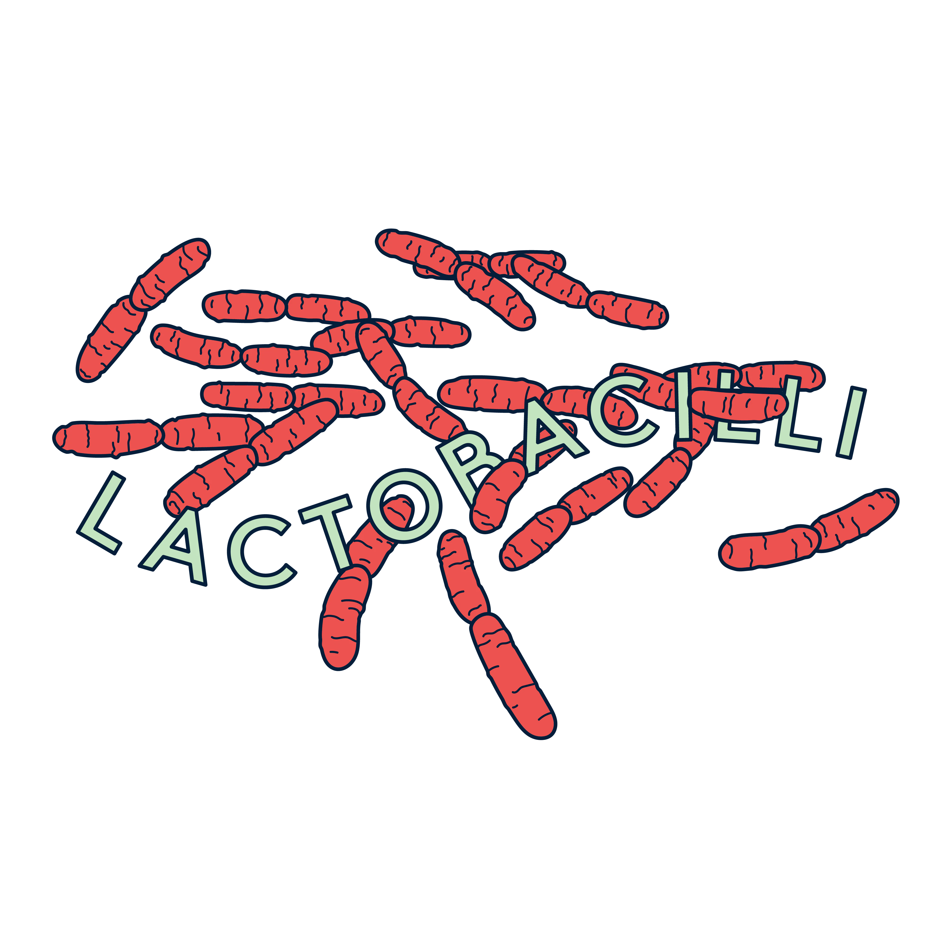 Lactobacilli are the good bacteria in your vaginal microbome, lactobacilli protect you from vaginal infections