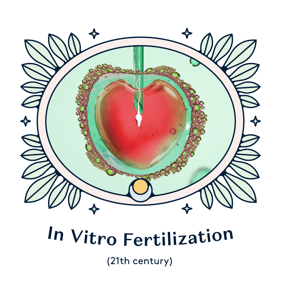 in vitro fertilization