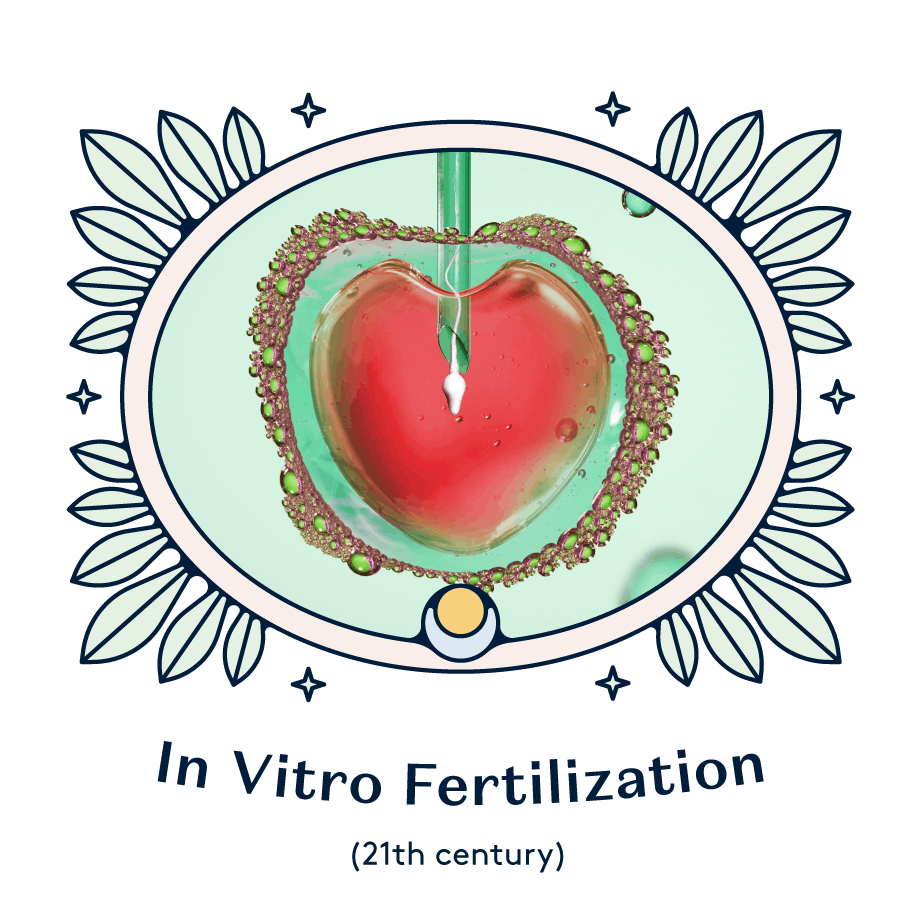 in vitro fertilization