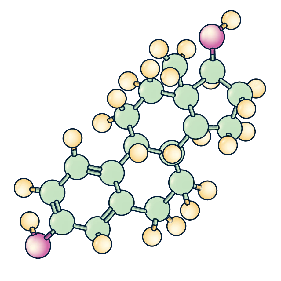 hormones