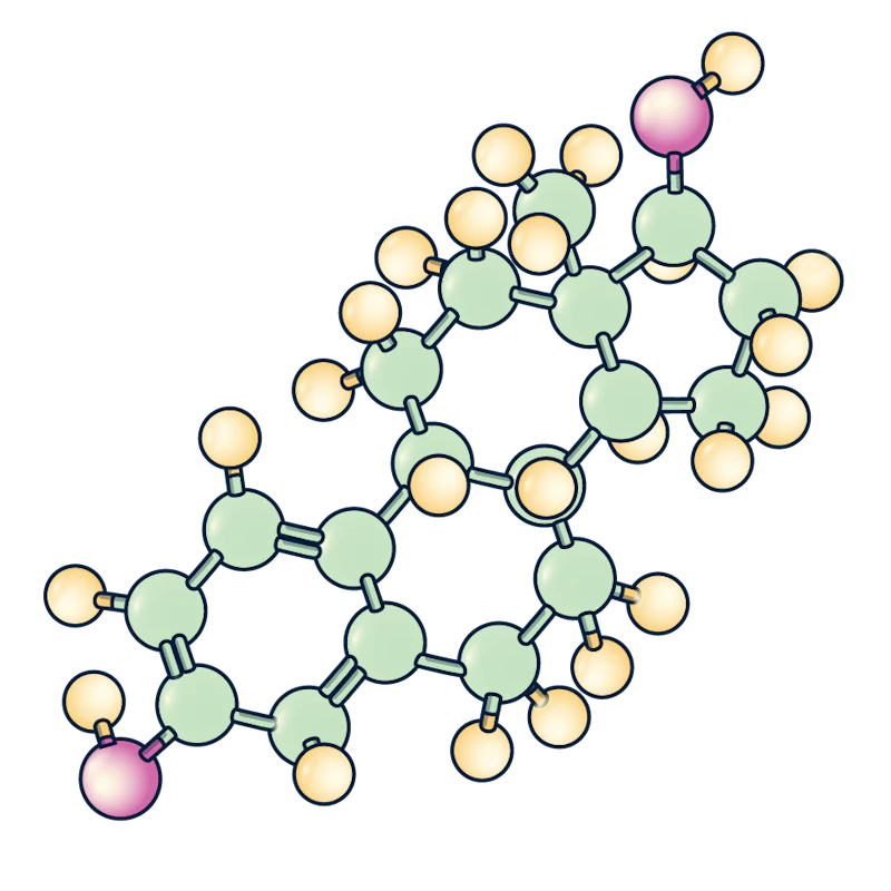 hormones