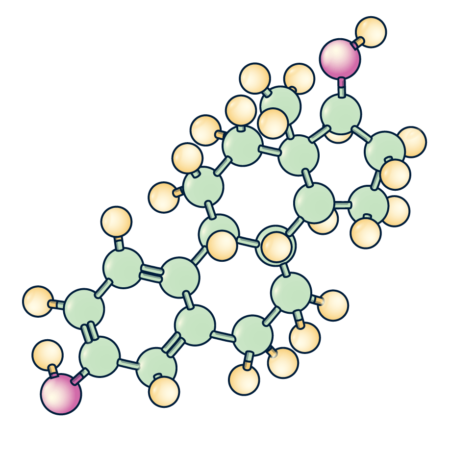 hormones