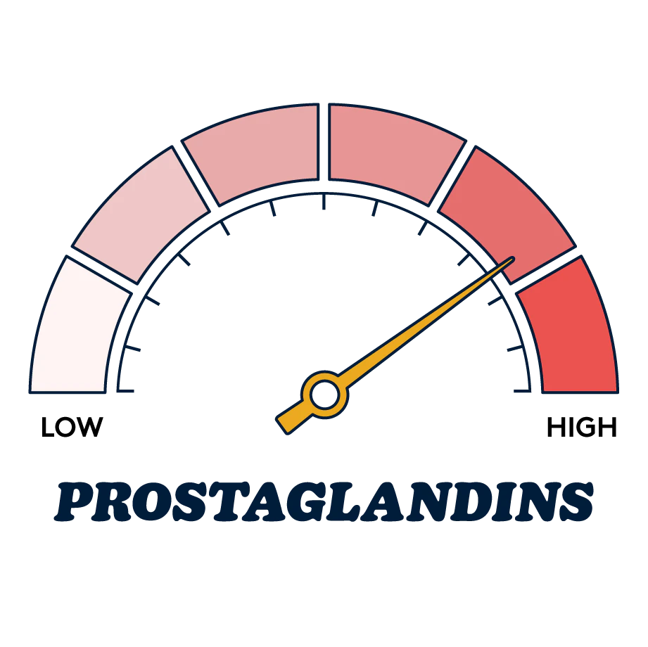 prostaglandins