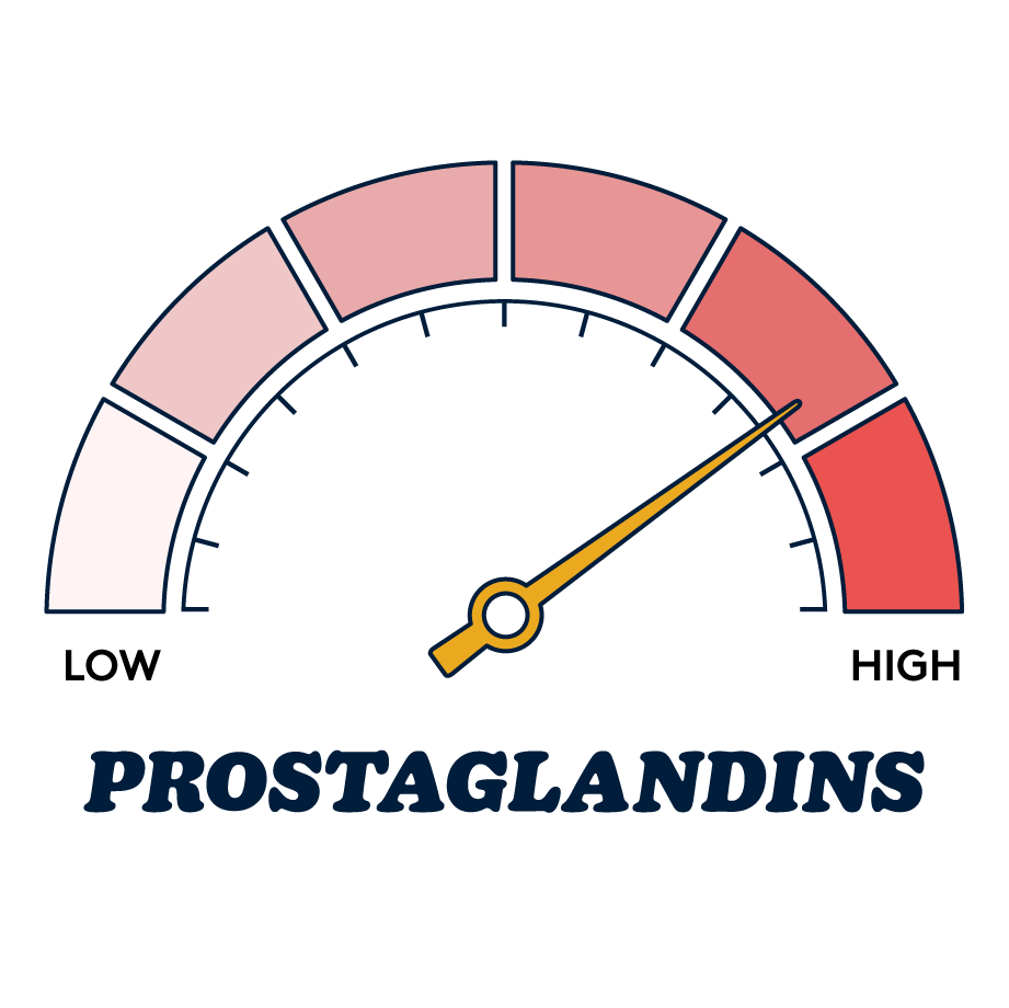 prostaglandins