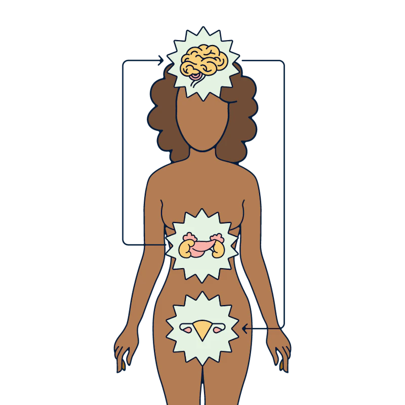 cortisol and your cycle