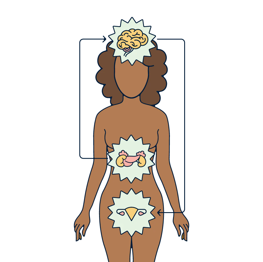cortisol and your cycle