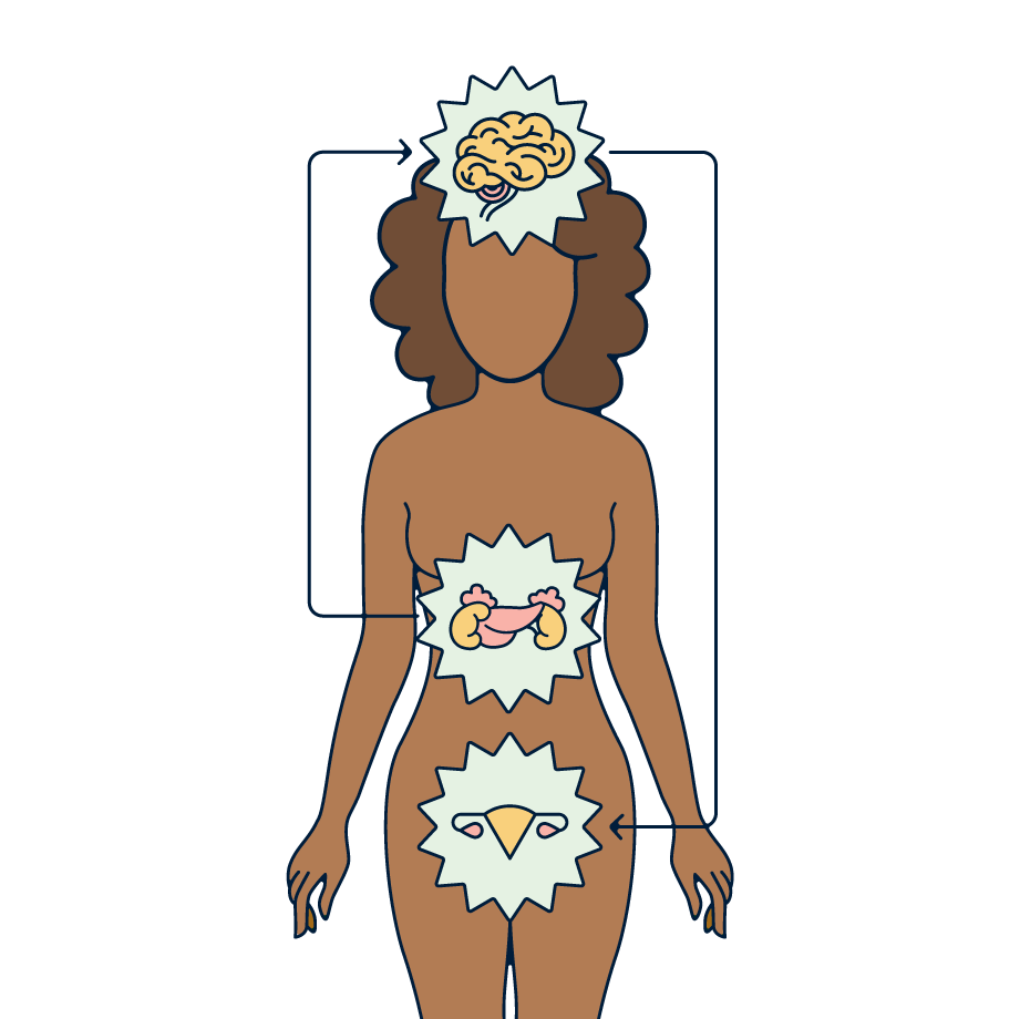 cortisol and your cycle