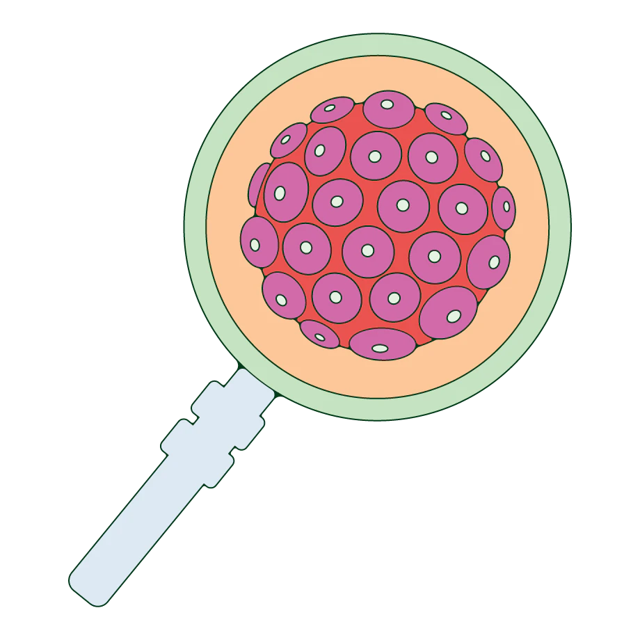 hpv-magnifying-lens