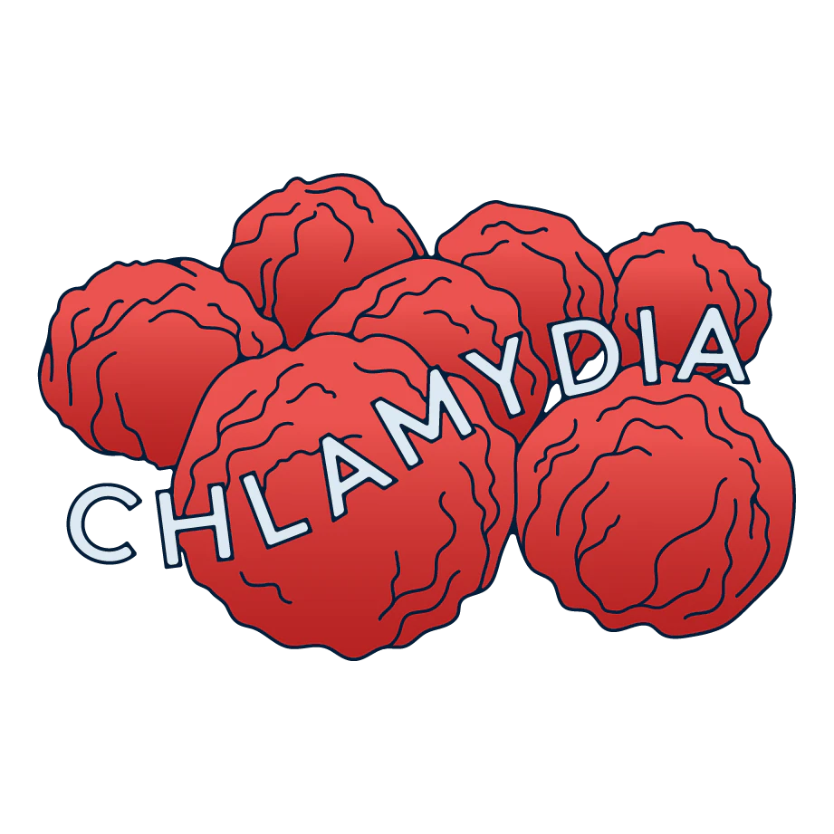 The molecules of Chlamydia.