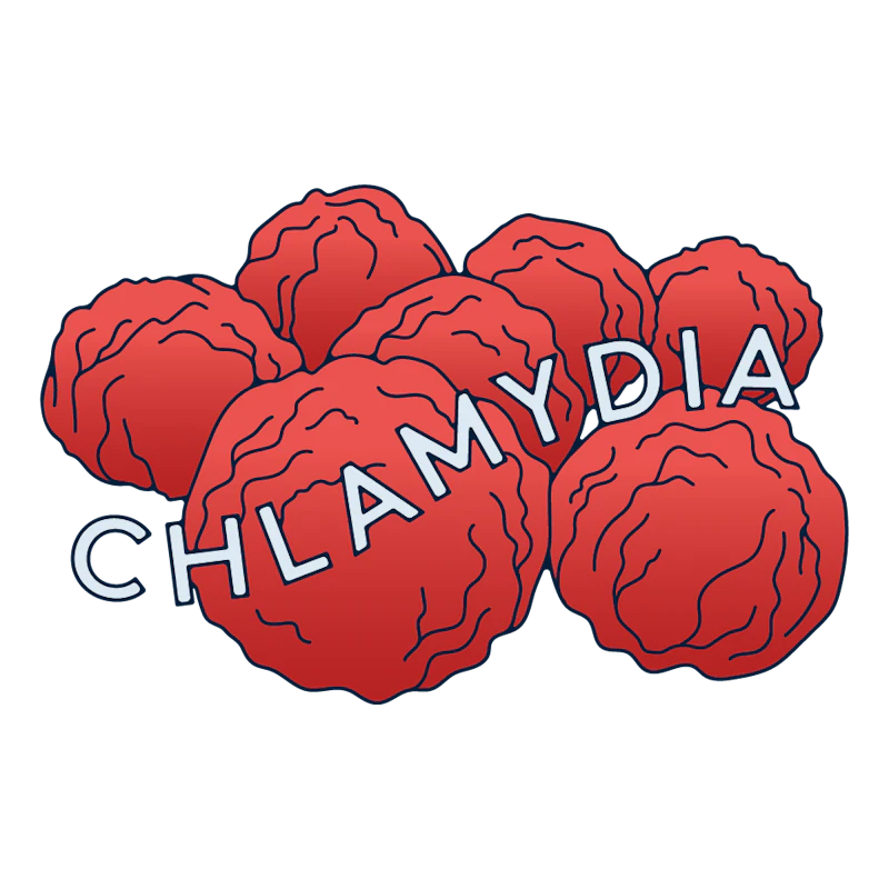 The molecules of Chlamydia.