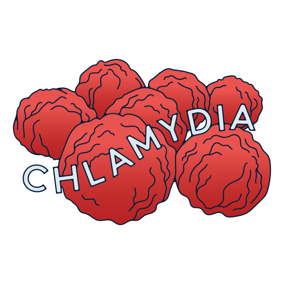 The molecules of Chlamydia.