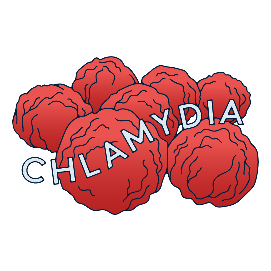 The molecules of Chlamydia. 