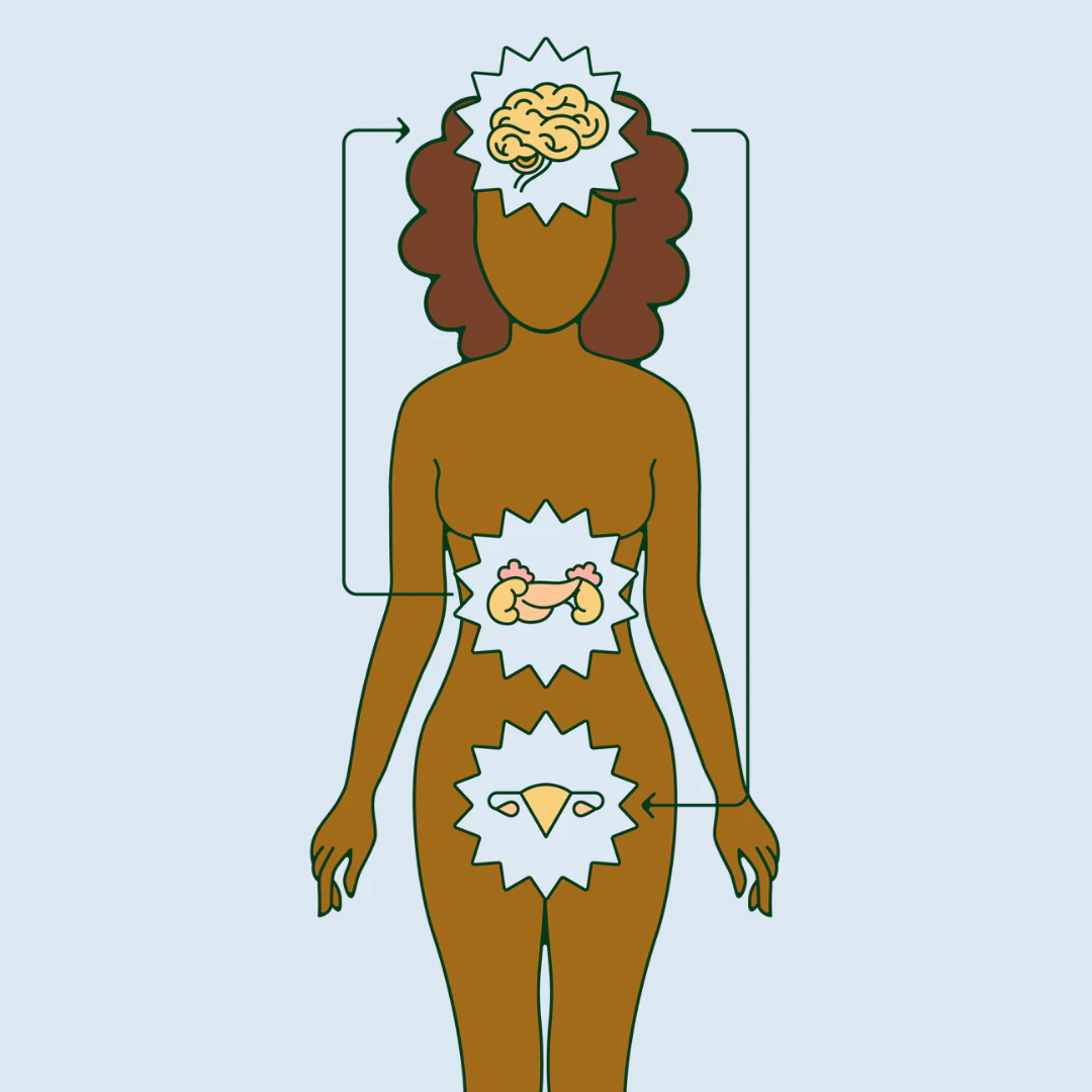 Stress and hormones: an unbreakable bond