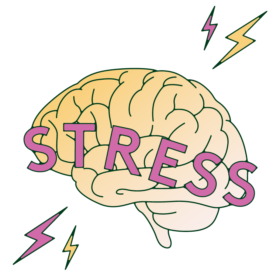 A brain with an inscription of the word "Stress".