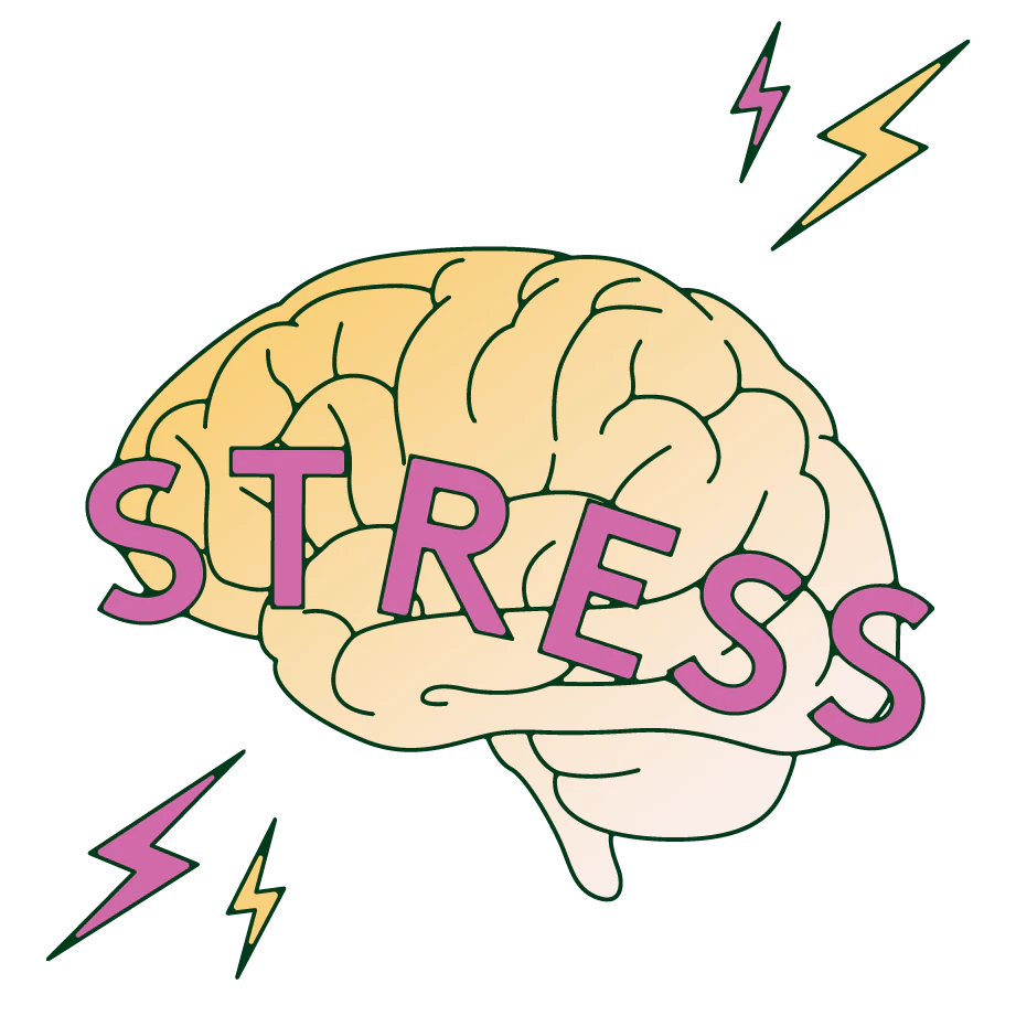 A brain with an inscription of the word "Stress".