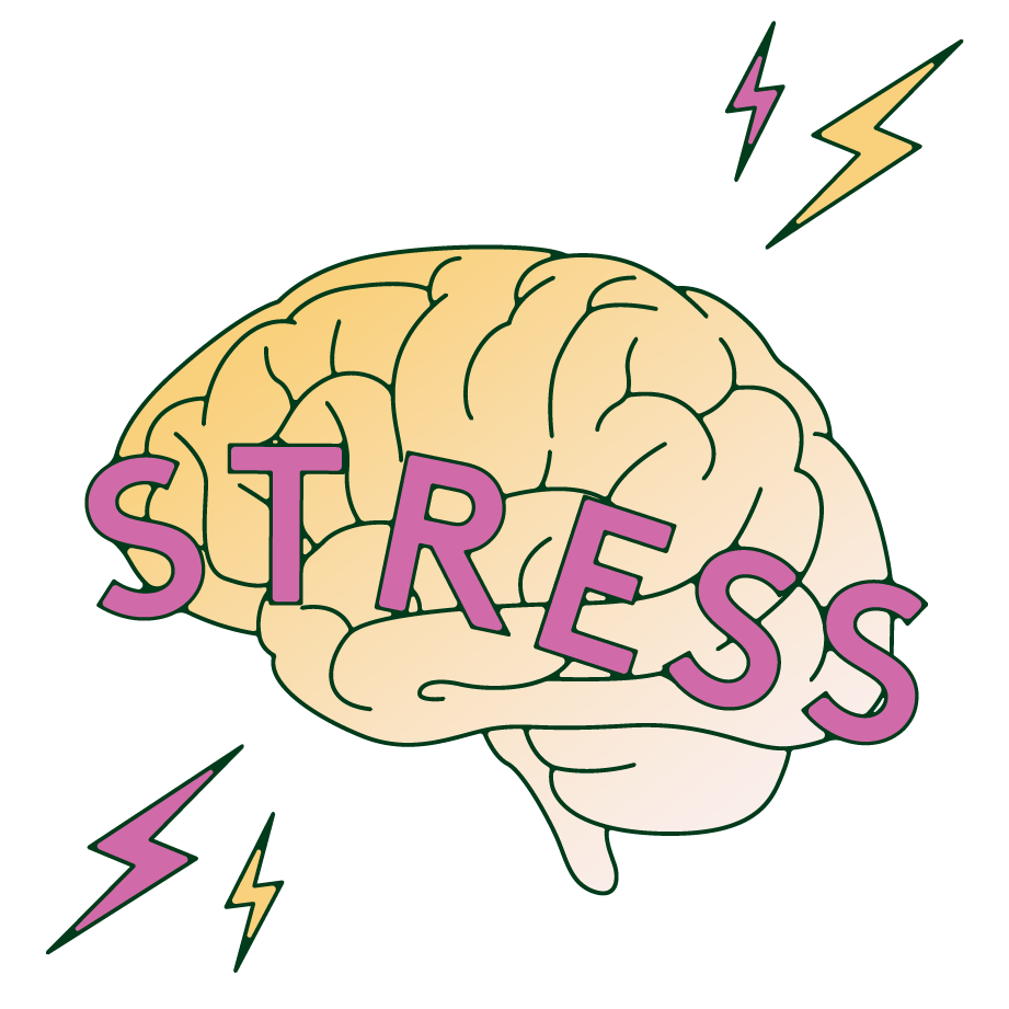  A brain with an inscription of the word "Stress". 