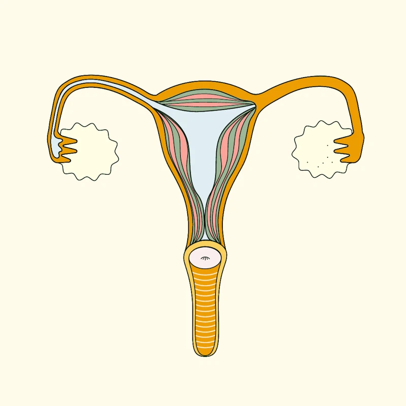 fibroids symptoms