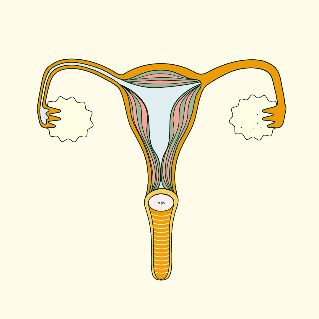 fibroids symptoms