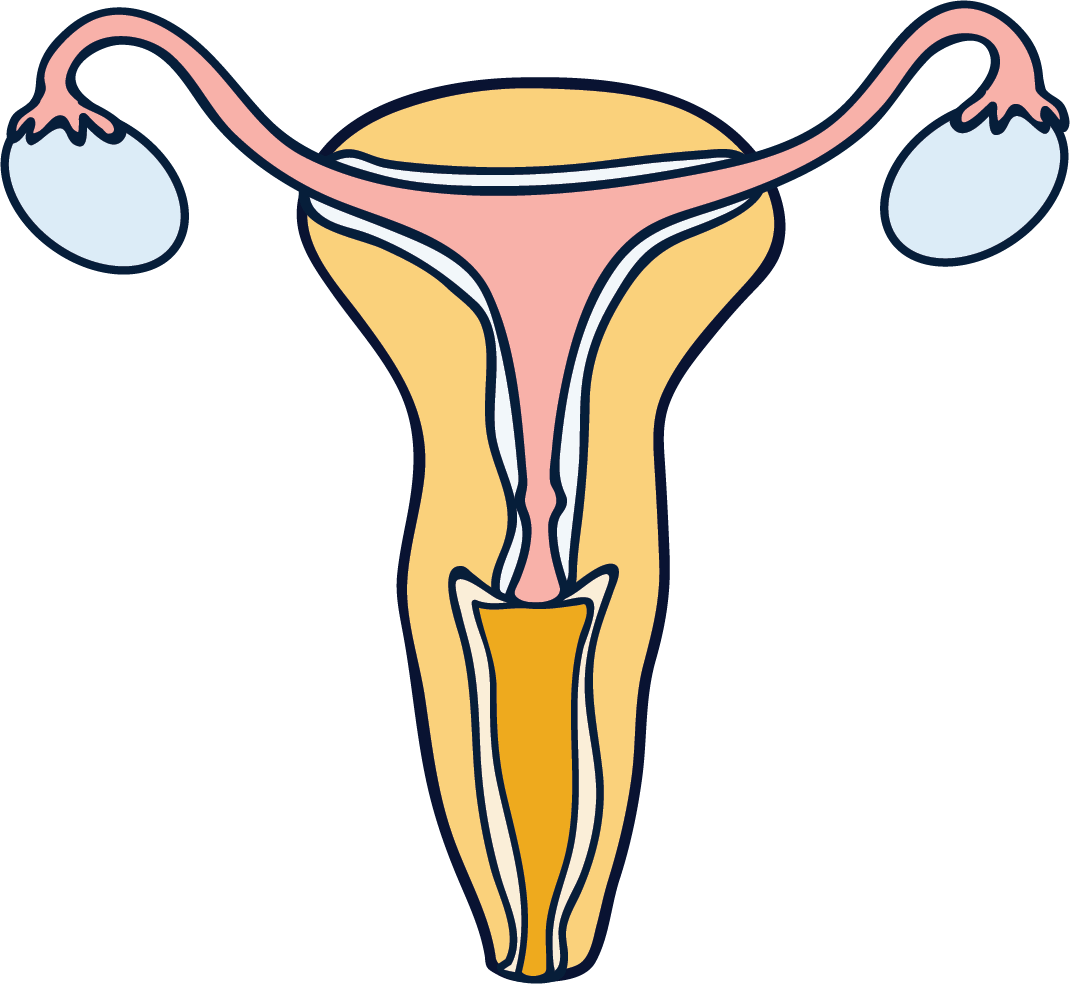 Menstrual cycle changes