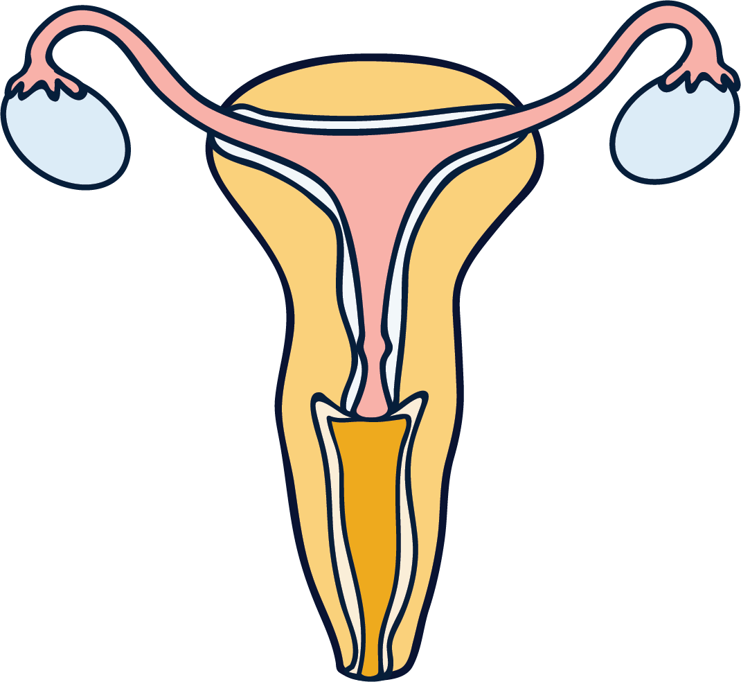 why do women have periods