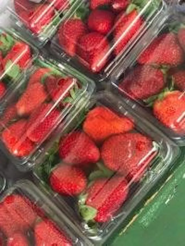 The Fresh Market - Devonport Village - Auckland's best seaside escape