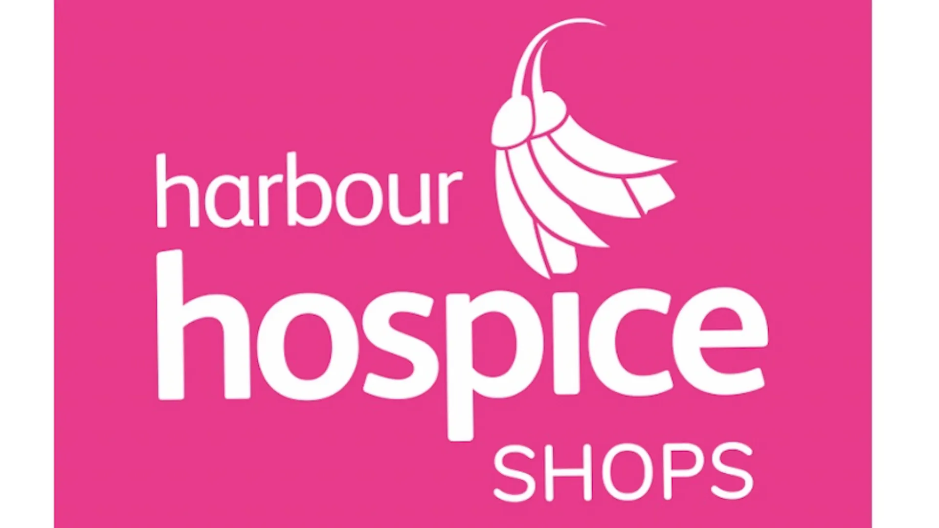 Harbour Hospice Home, a little shop stacked with curiosities.