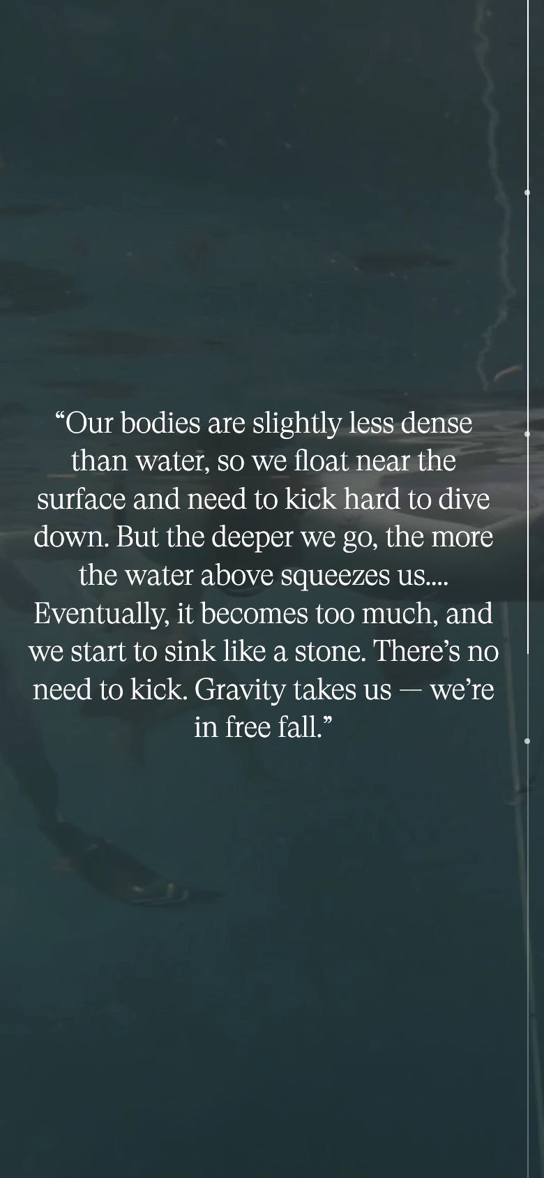 A screenshot of the mobile site, with a quote from Alenka and a video of her diving.