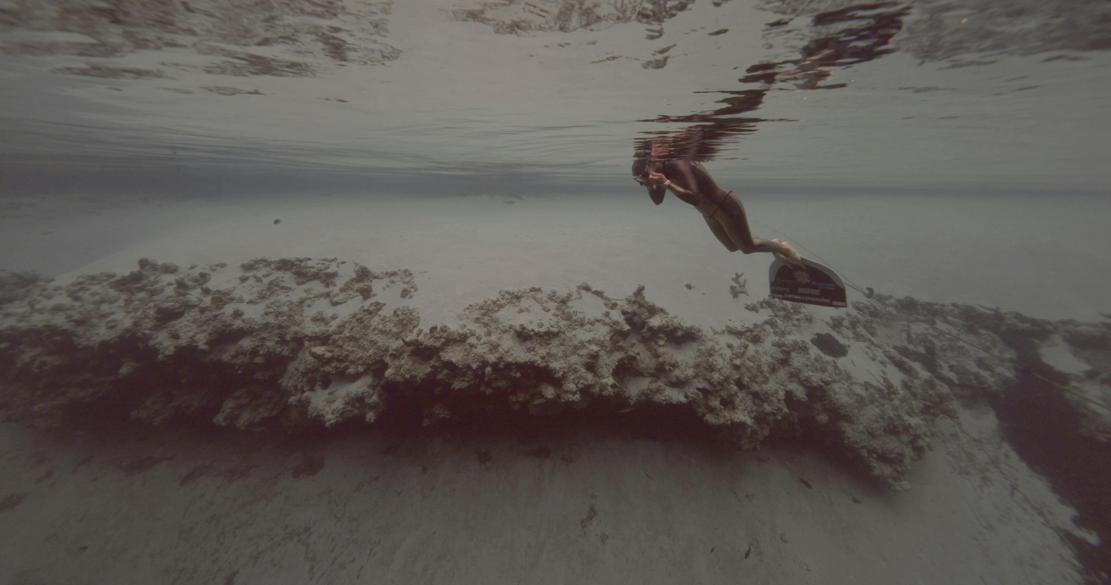 Hero video. A video of the diver, Alenka Artnik, underwater near a coral reef.
