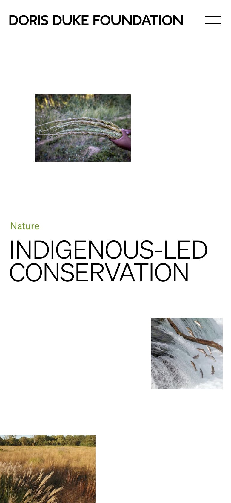 A headline that reads "Indigenous-led conservation" and 3 images showing nature.