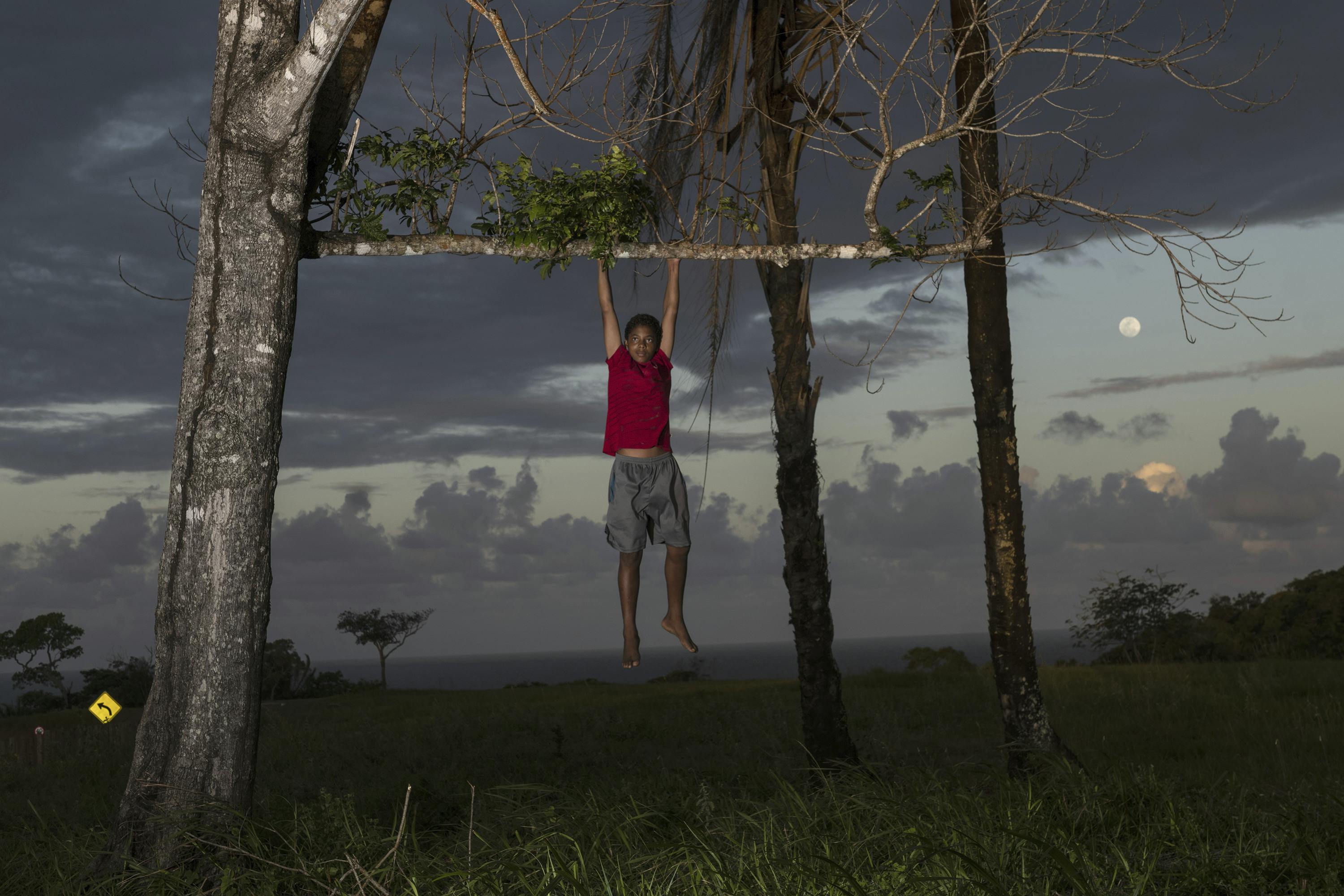 A boy holds a tree branch with his hands, hanging in in the air.