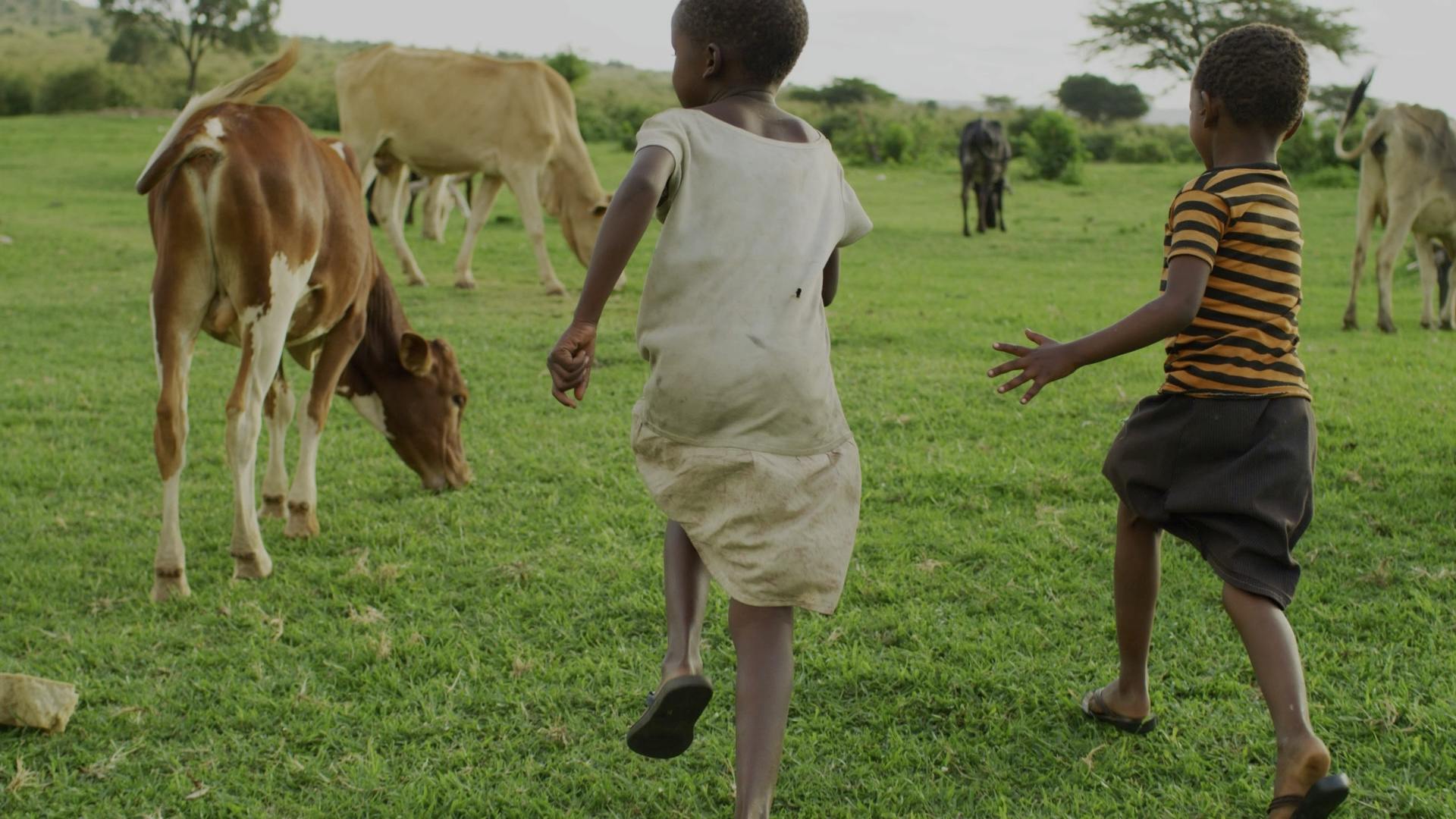 Poster image of video showing children running amongst cattle with WOAH key messaging