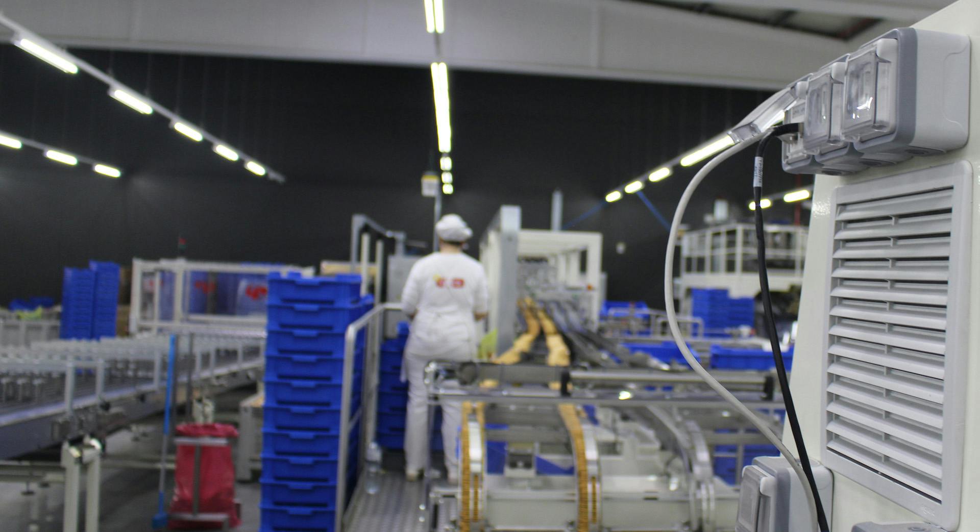 linha de produção da empresa Vieira de Castro