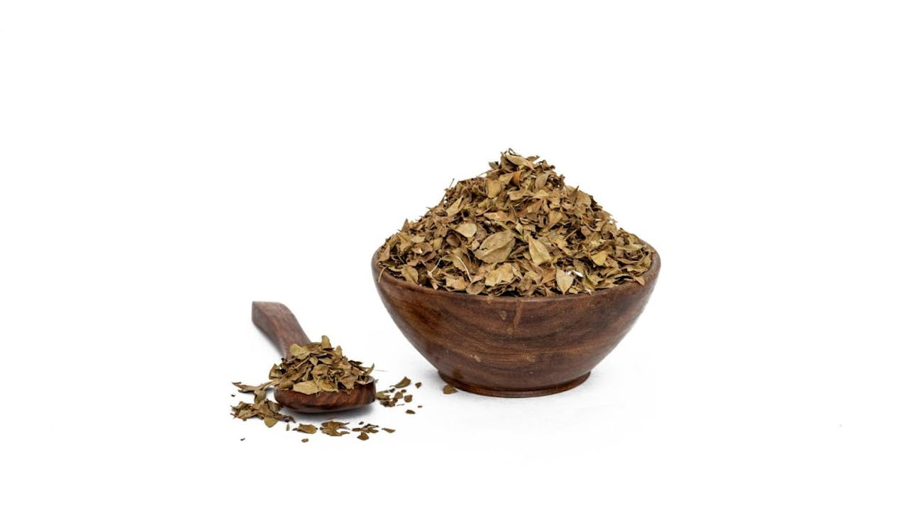 Gymnema sylvestre, el Destructor de Azúcar