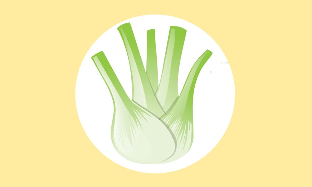 Hinojo: 14 Beneficios, Preparación y Composición Nutricional