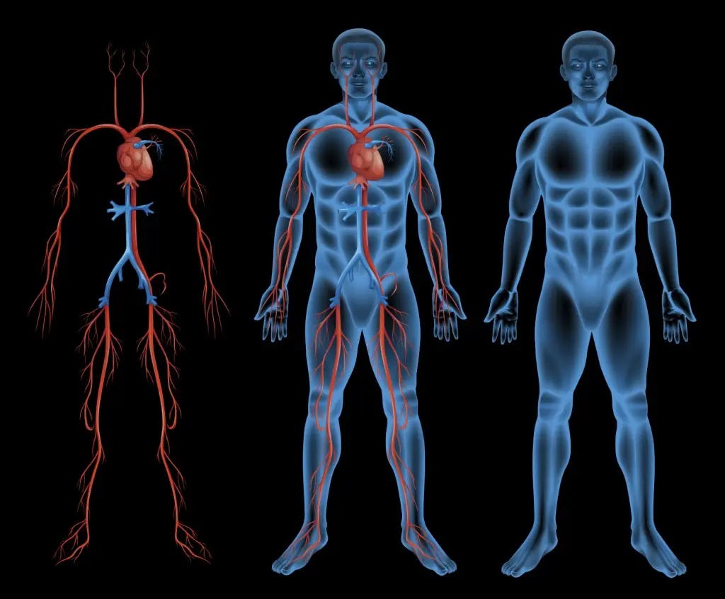 diabetes problemas coronarios
