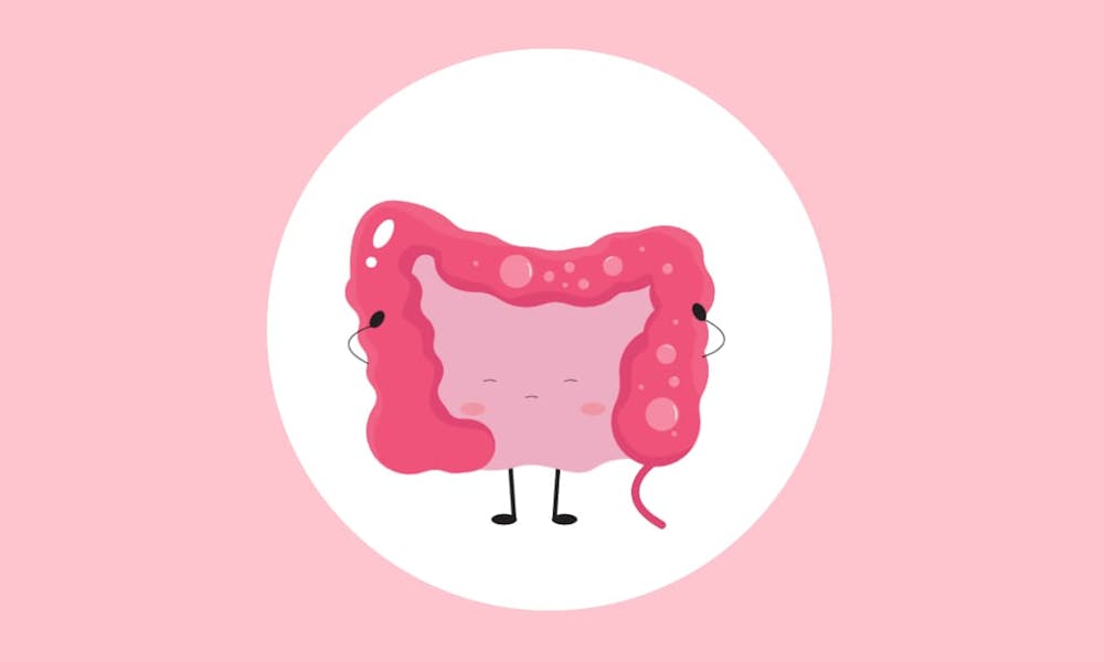 La flora Intestinal puede Influir en el Desarrollo de la Diabetes