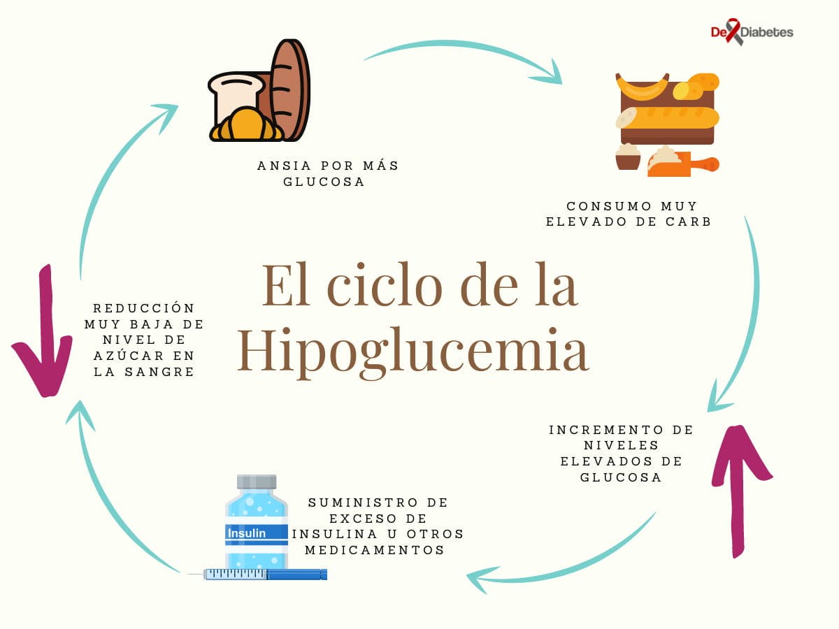 Ciclo de Hipoglucemia