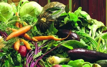 diabetes parrillada verduras