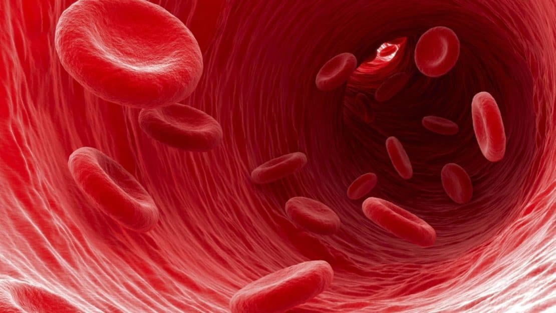 Efectos Negativos Por Comer Mucha Miel - presión arterial baja