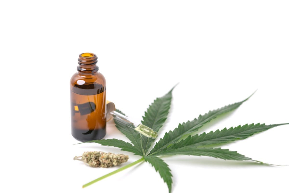 ¿La Marihuana Sirve Contra La Diabetes?