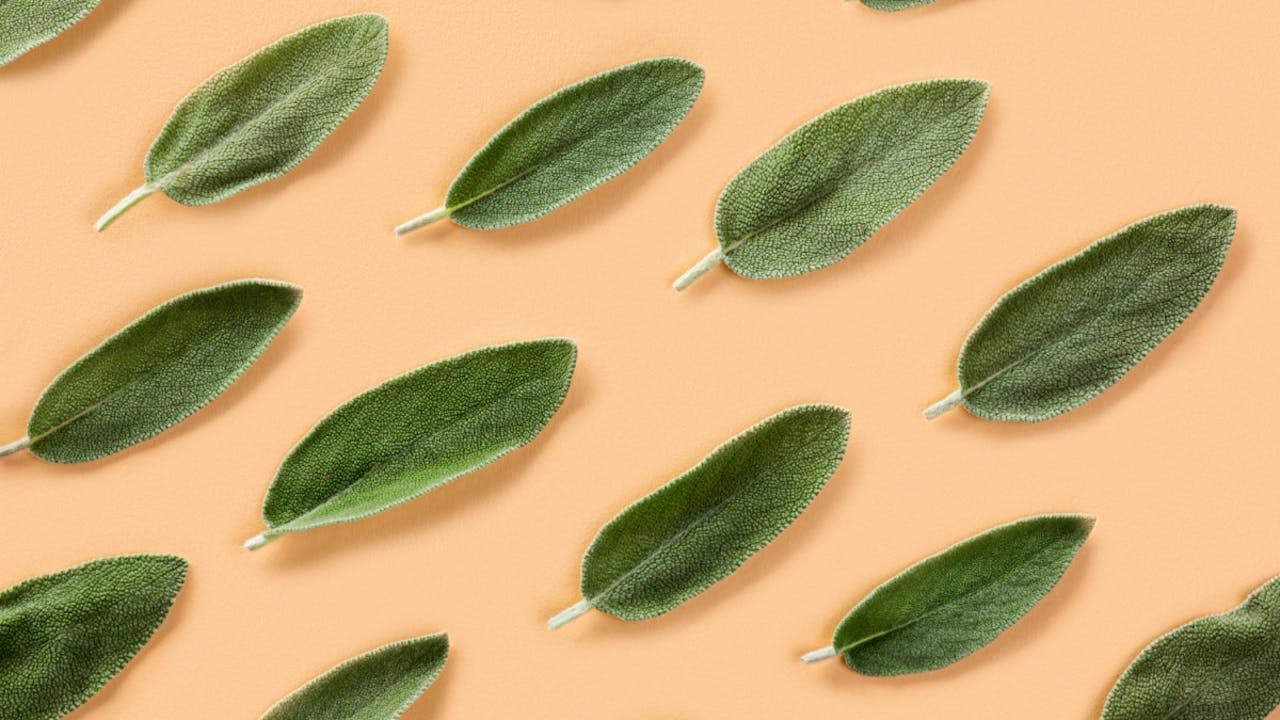 Conozca la hierba reductora del colesterol que también reduce el azúcar en la sangre: ¡En horas!