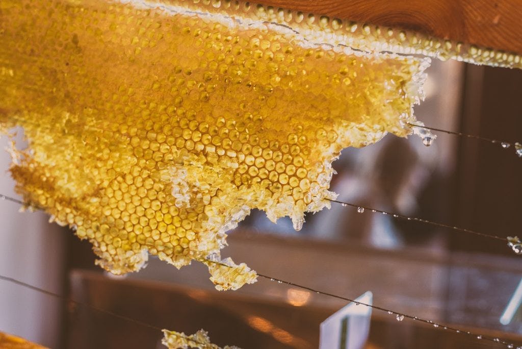 detalle de trozo de panal con miel