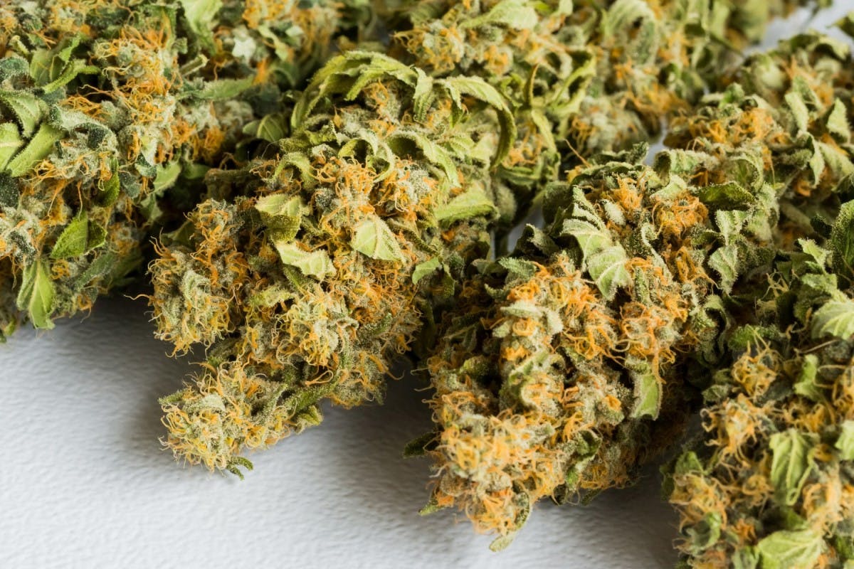 Efectos del consumo diario de la Marihuana