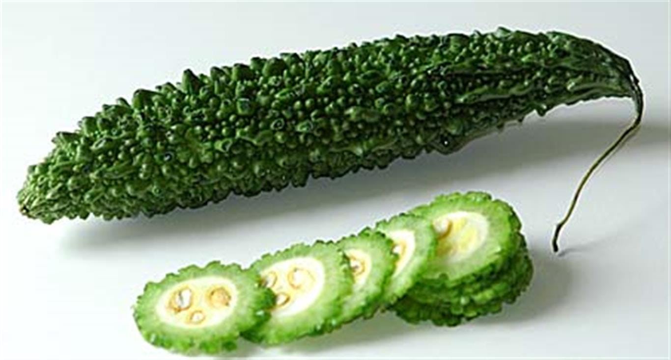 Melon Amargo
