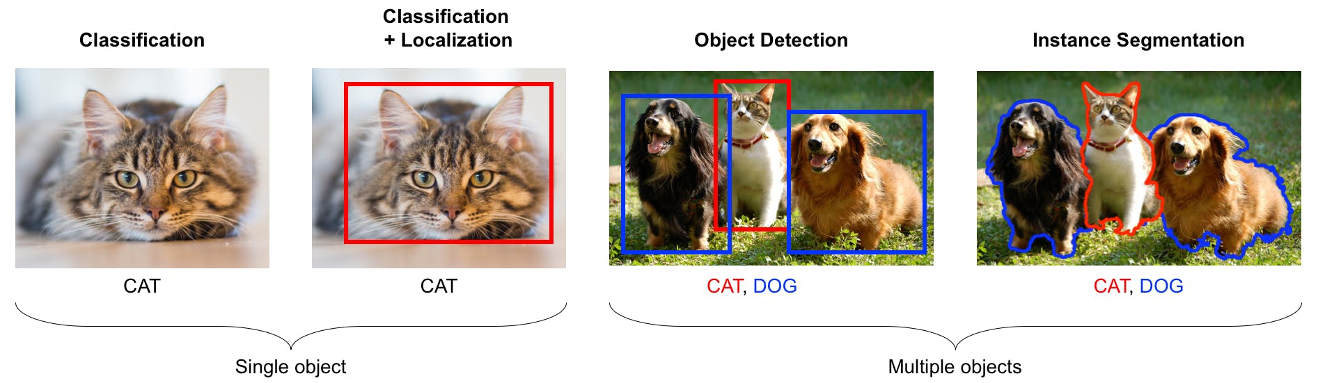 Representation of Classification, object detection and instance segmentation in Computer Vision practices