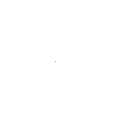 Logo TDF en blanc