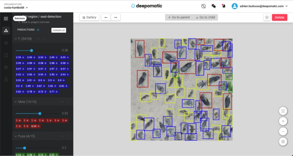 Modelo de detección de lobos marinos con la ayuda de la Computer Vision de Deepomatic