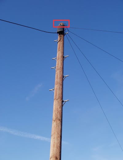 Pole