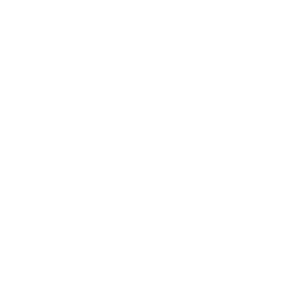 sfr logo (white version)